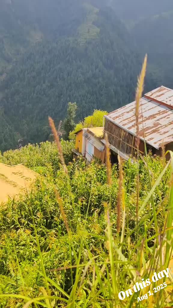 @ZainKhan135