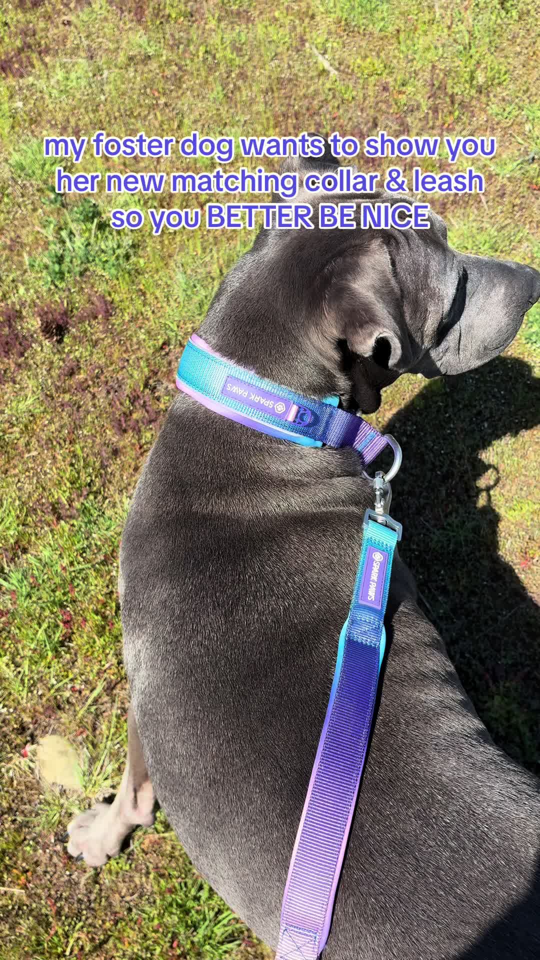 @kai_TheDogMother 🐶🐾