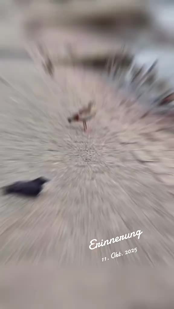 @Flügel & Freunde