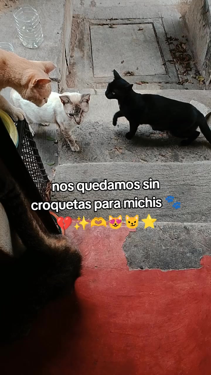 @Adriana Torres ACTUE