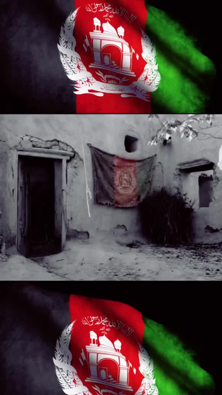 @Sami Rahmani