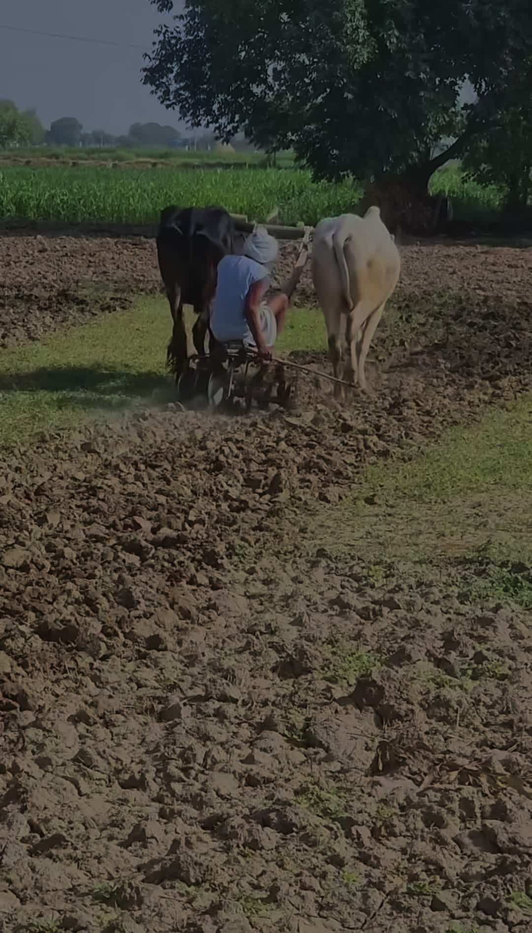 @ਪੰਜਾਬੀ.ਮੁੰਡਾ28