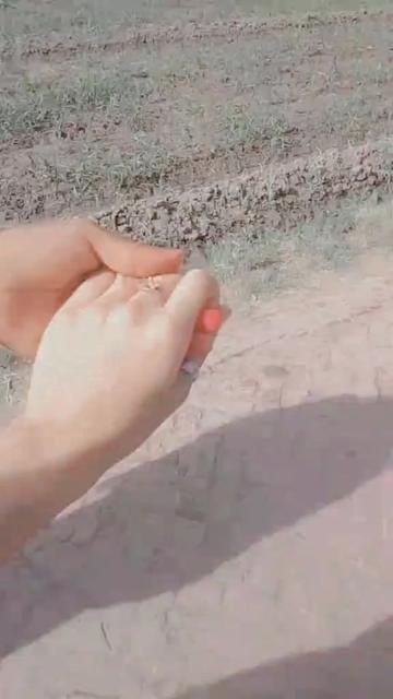 @🦋𝗞𝗼𝗵𝗮𝘁𝗶🥀𝗝𝗲𝗻𝗮𝘆🦋