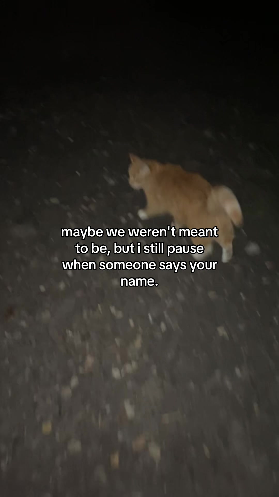@sʇɥɓnoɥ⊥