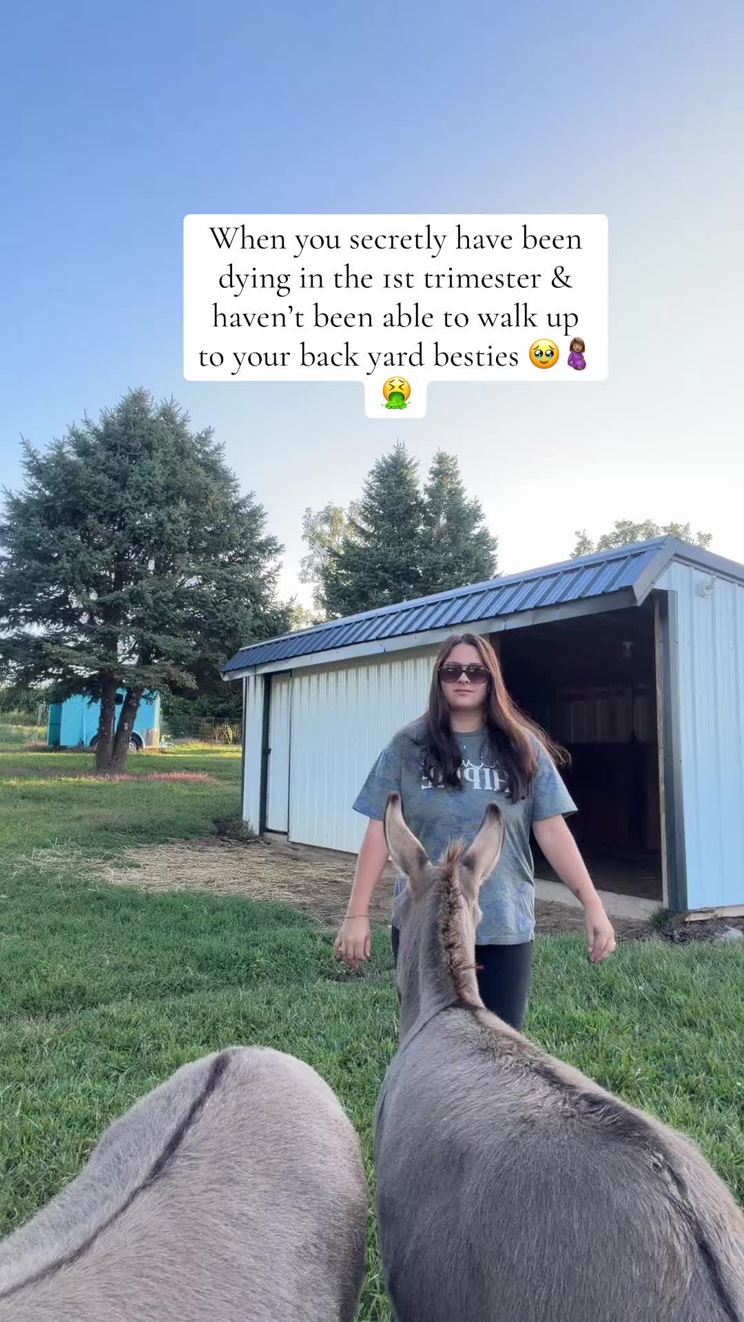 @TAYLORROSE - WONKY&WINDY 🫏