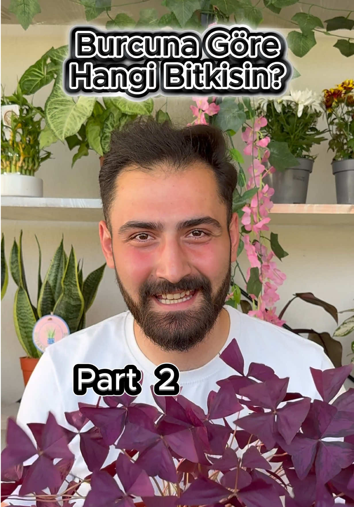 @Saklı bah&ccedil;e Bitkileri