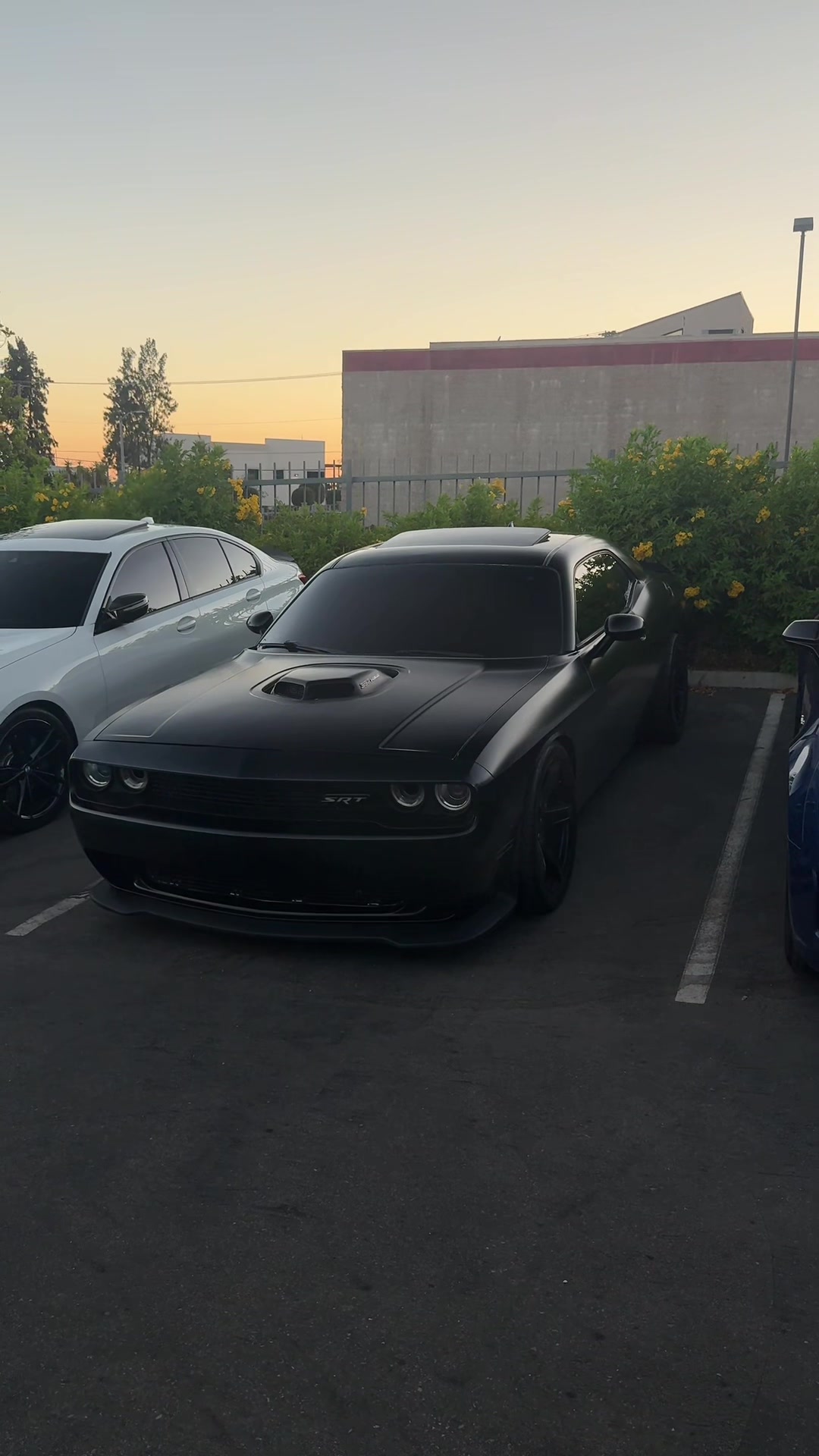 @Srtcam