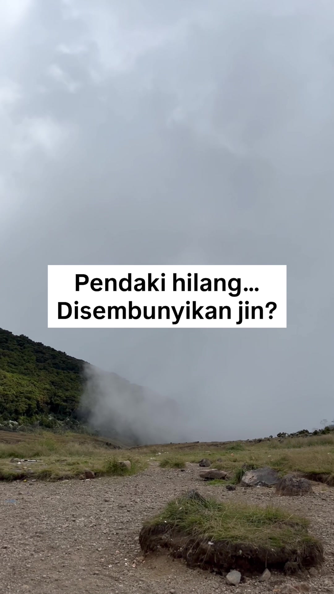 @Zaink Nst