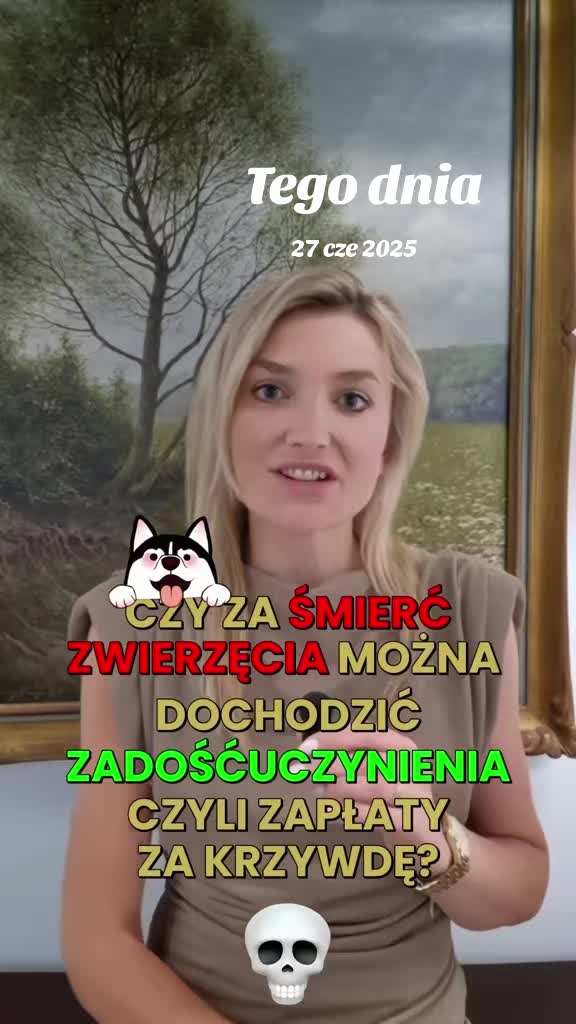 @TT Adwokat