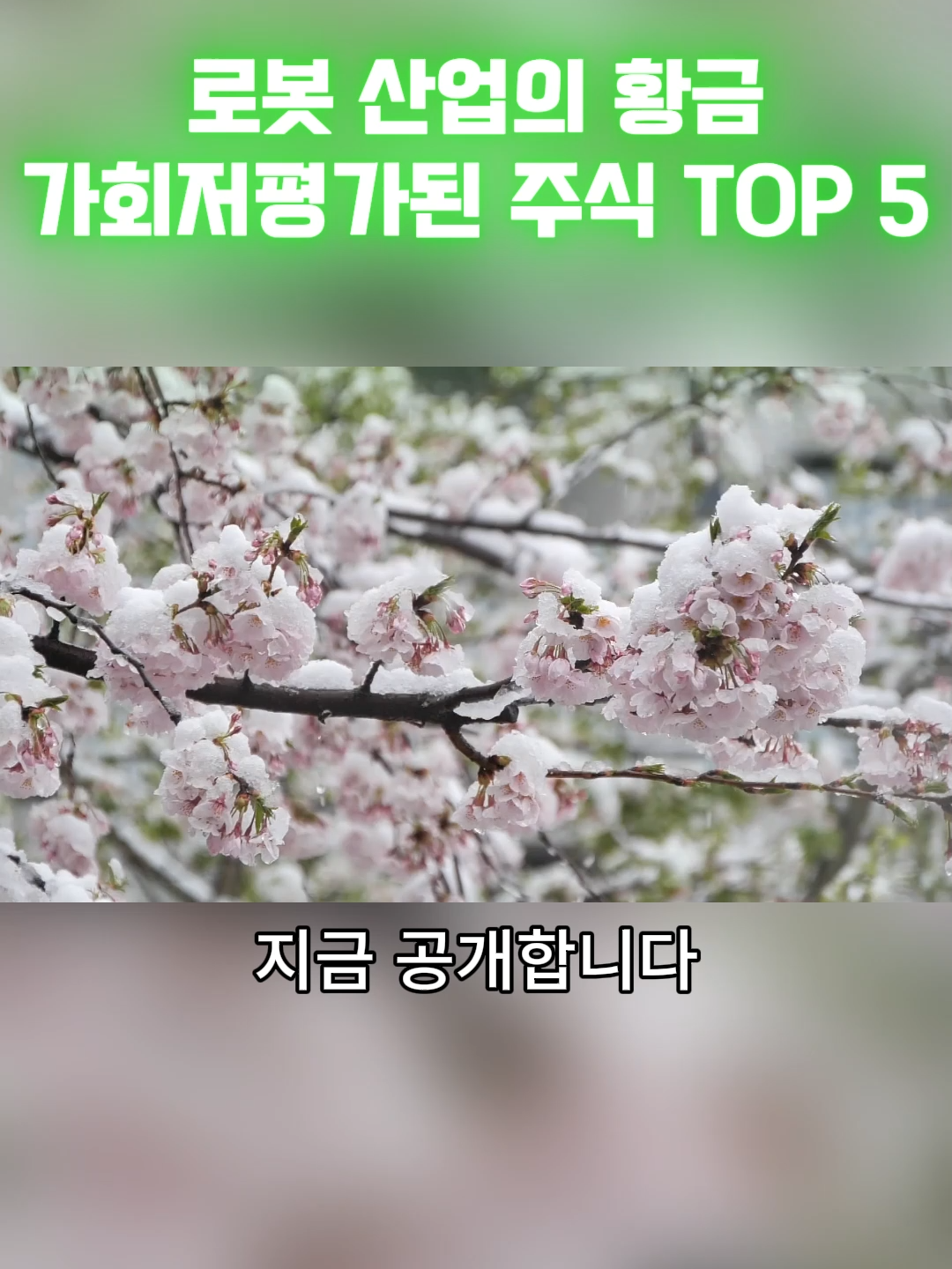 @단타 사냥꾼