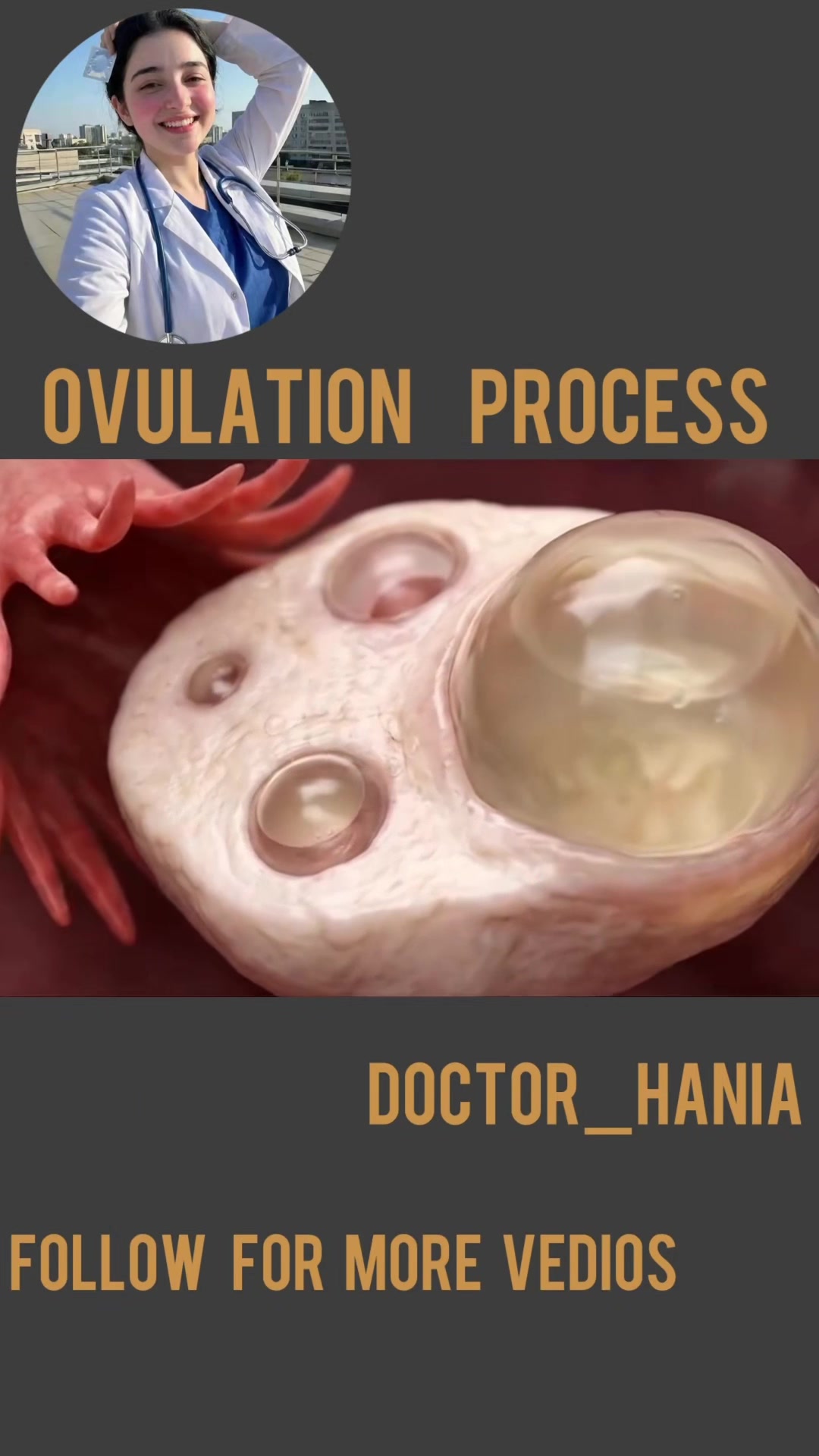 @Doctor Hania