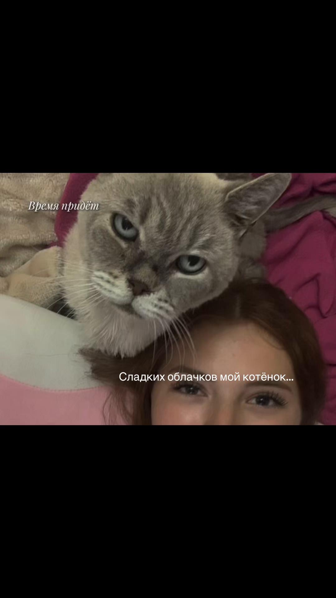 @Рыжик🦊