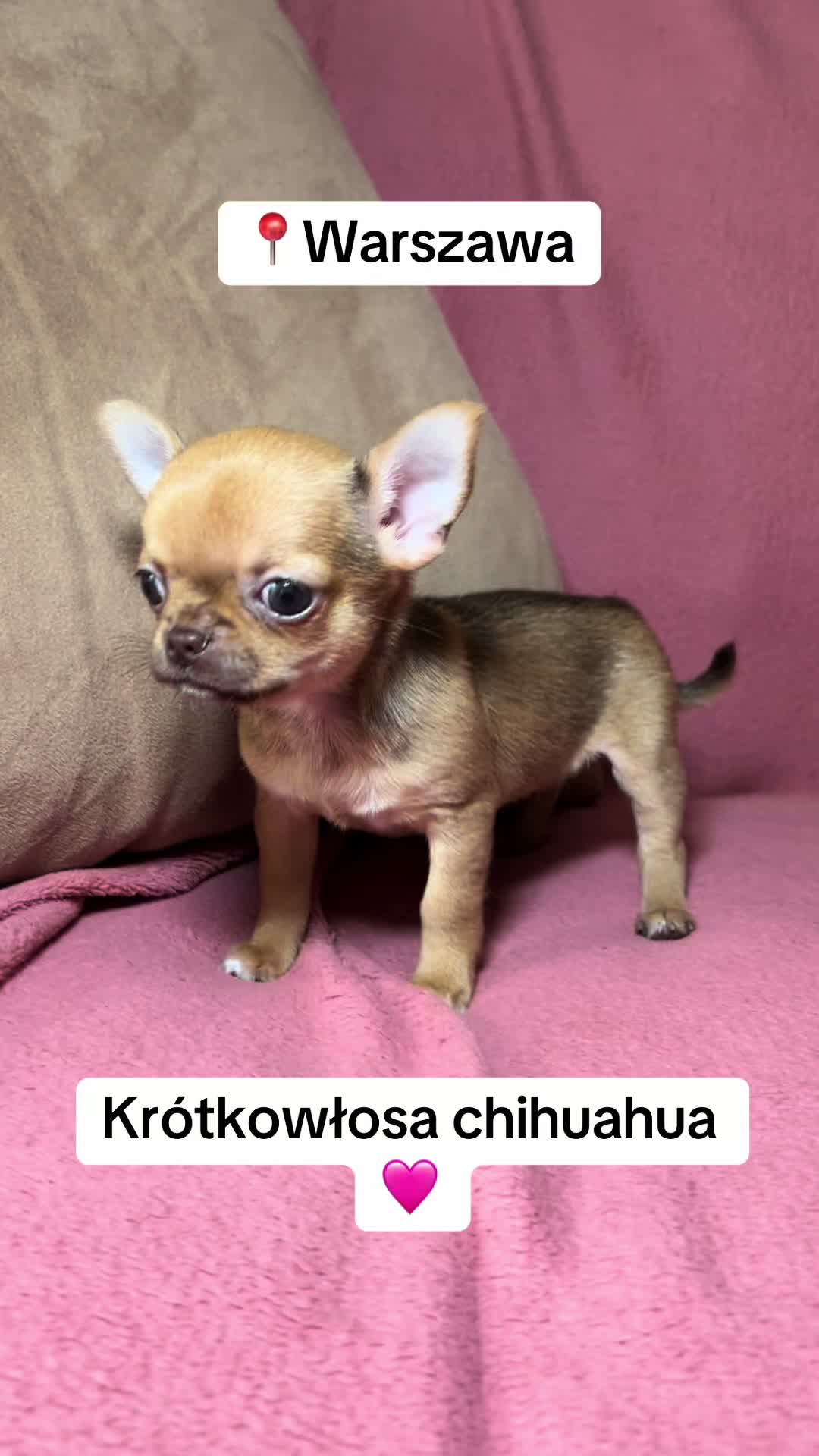 @Ulybki_lilu