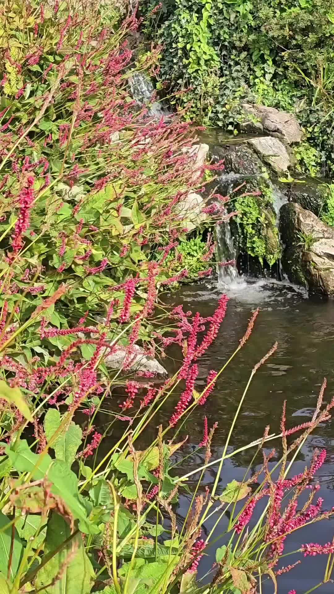 @Diary of a nature lover