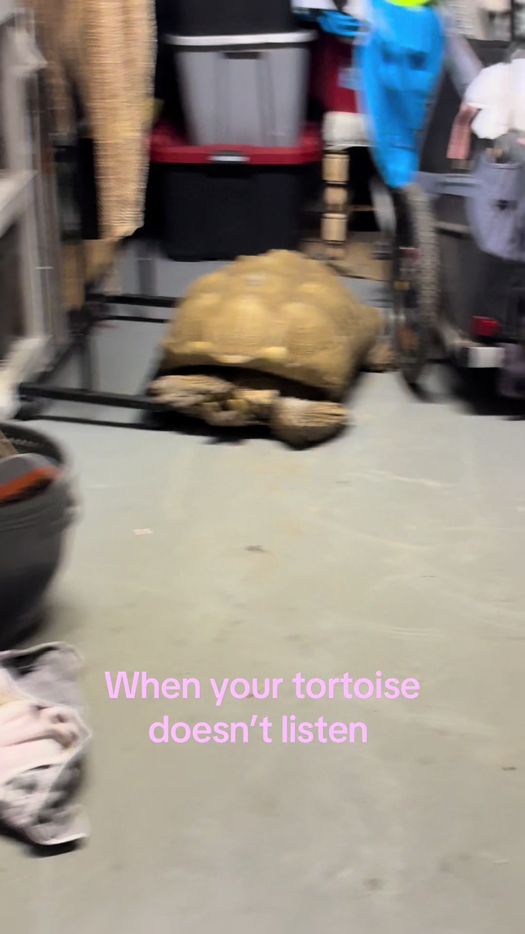 @cubanajayde