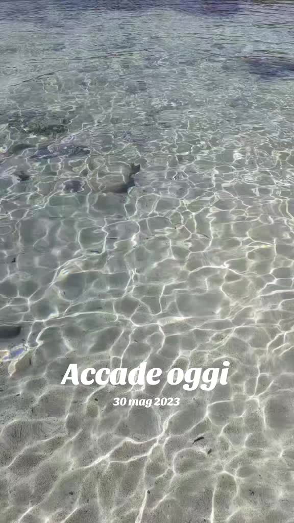 @Celeste Cendamo