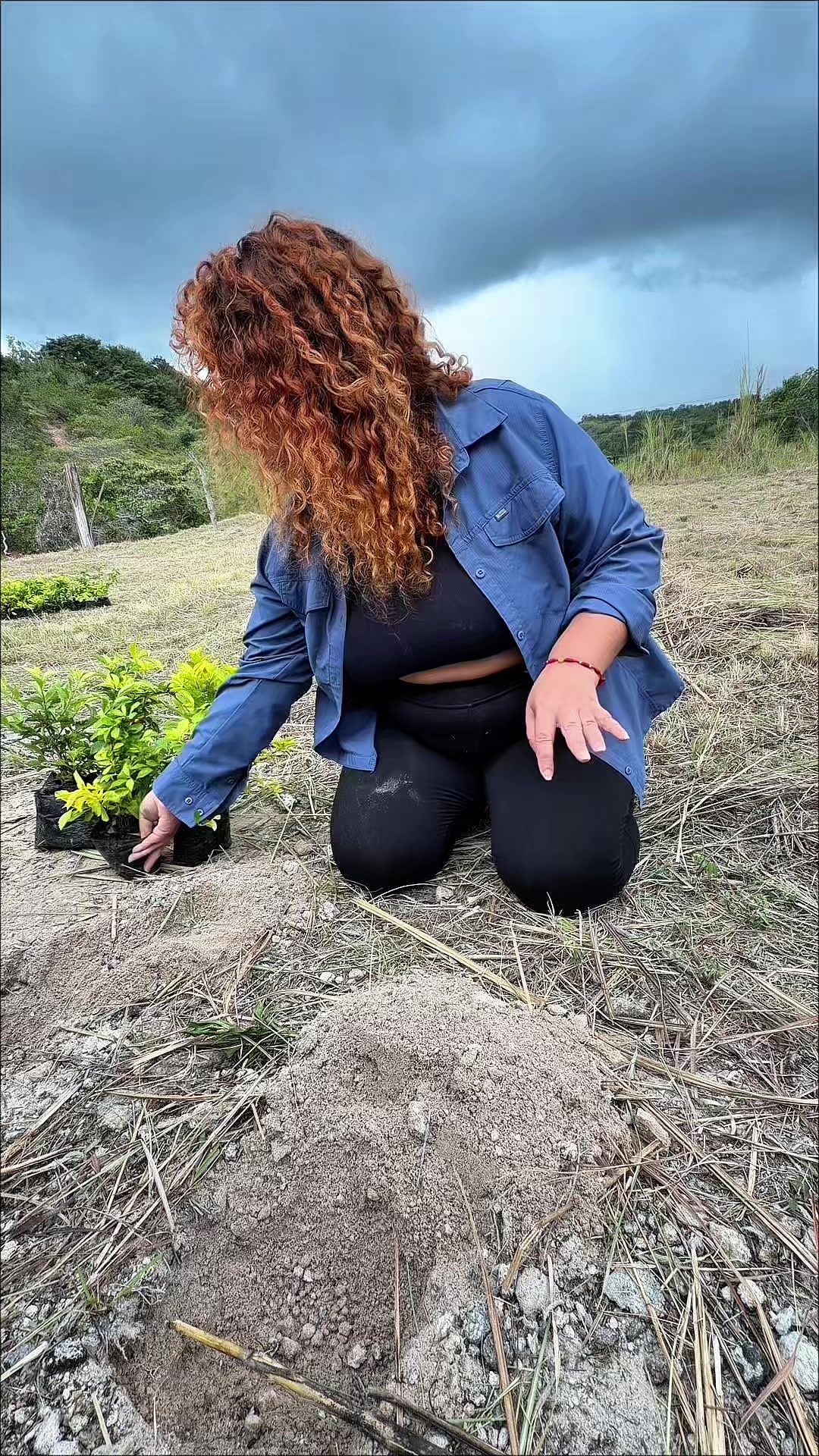 @Laliconsumelocal