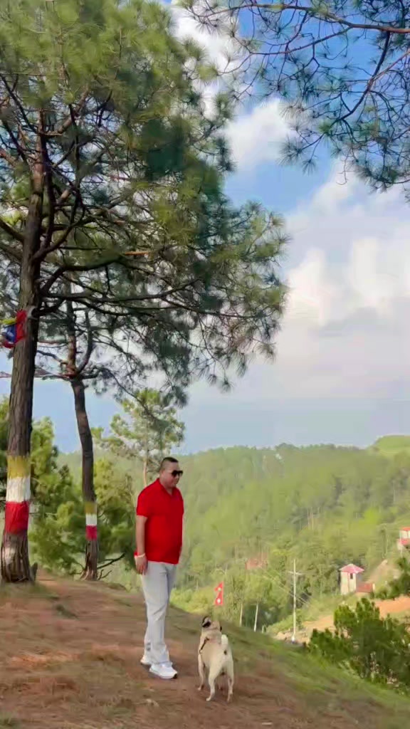 @Bjy Sonu Puntu kale