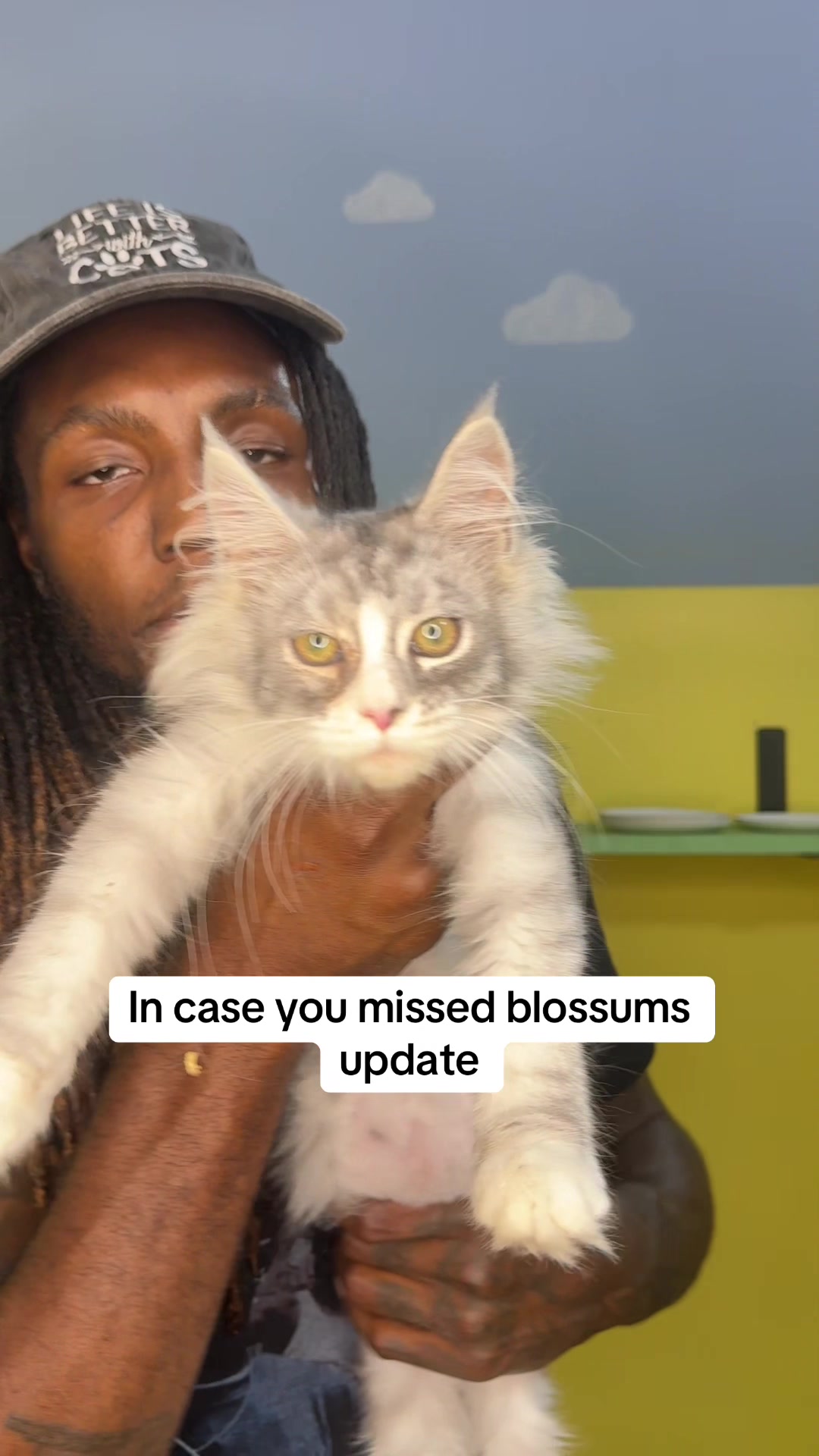 @Tycoon_Mainecoons