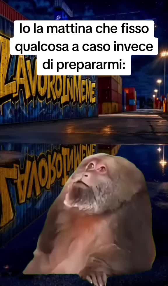 @ilmanu75
