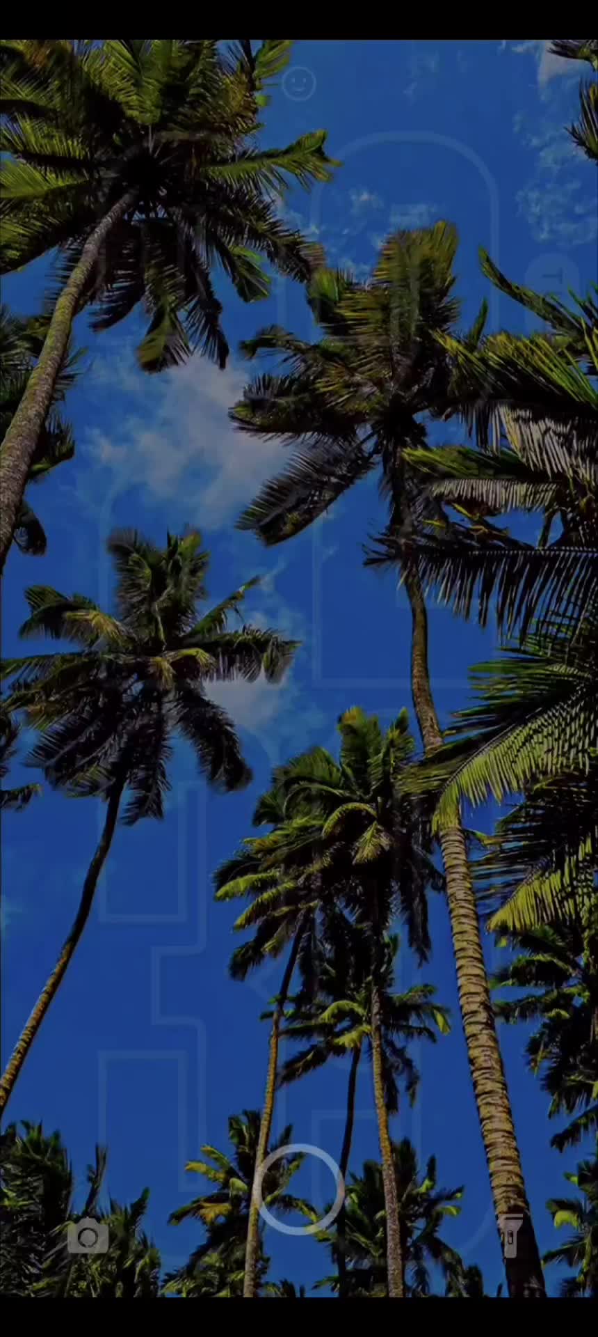 @𝙘𝙚𝙨𝙖𝙨𝙯𝟮𝟯𝟰𝟱