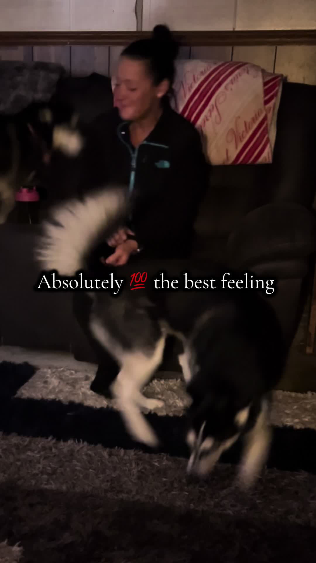 @🌺Crystal&herhuskies🐾