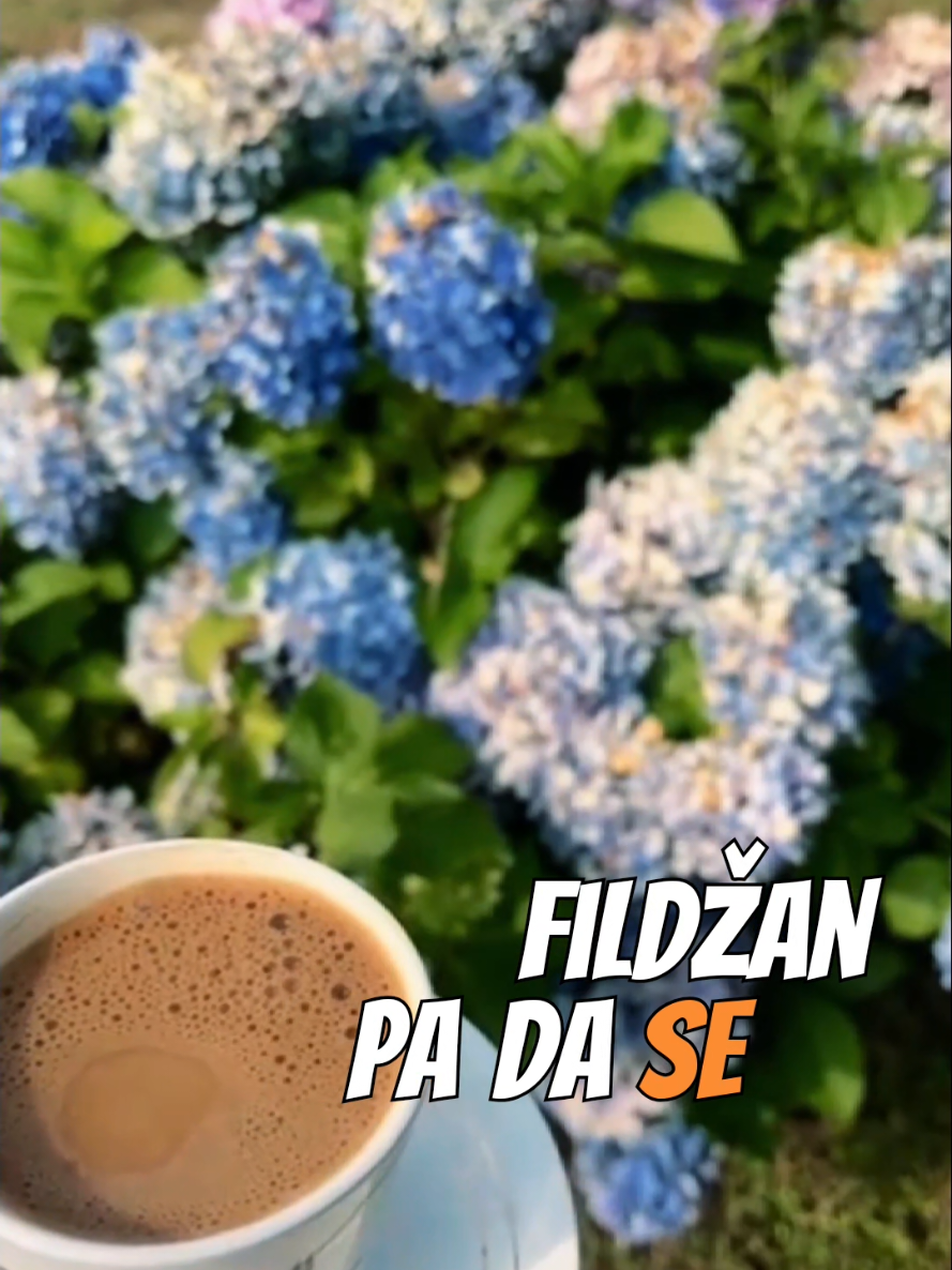 @Hadžibeg