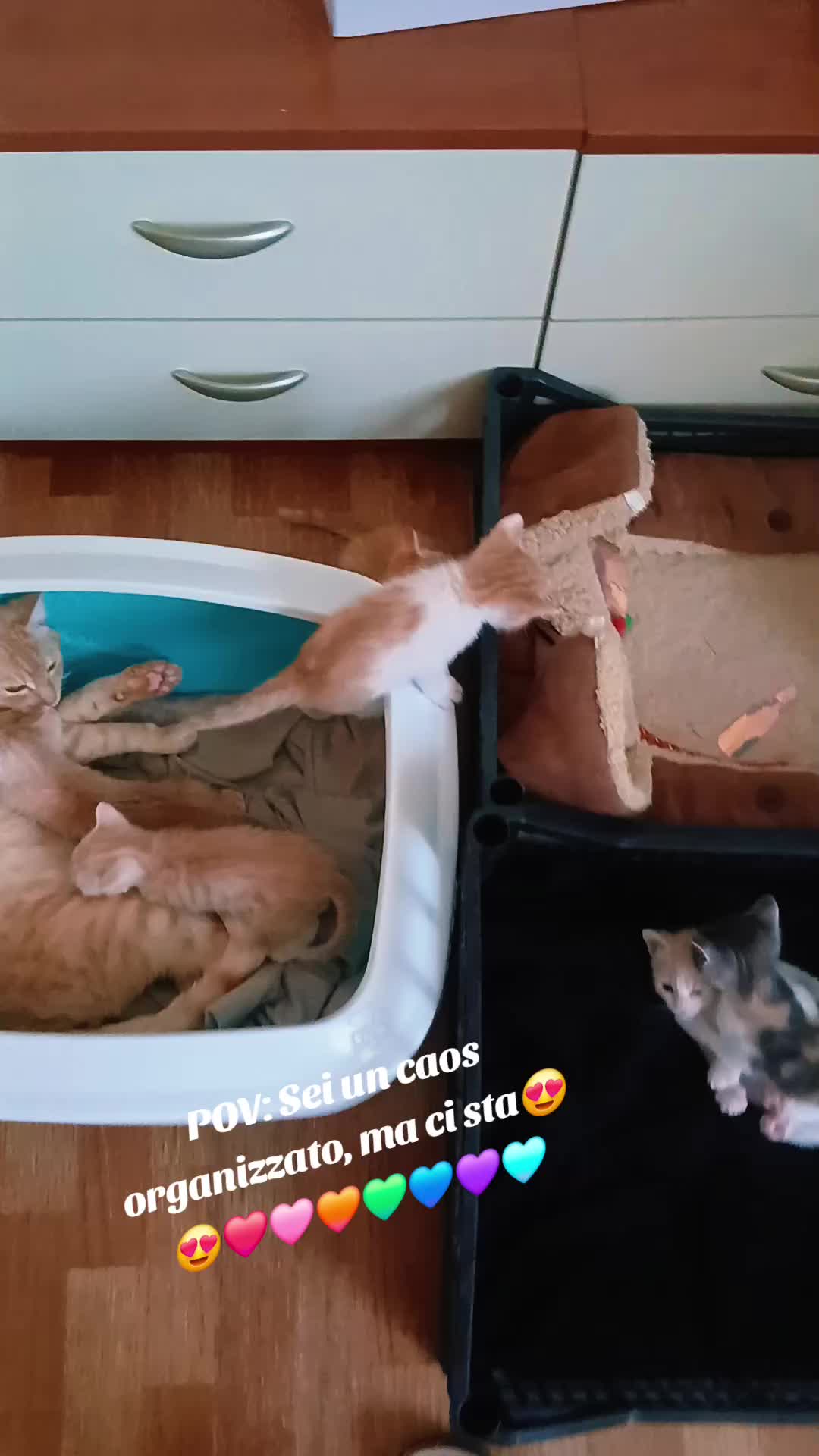 @m🌈🤬💋