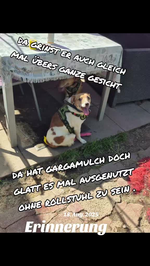 @Gnadenhof Zimmermann-Hesse