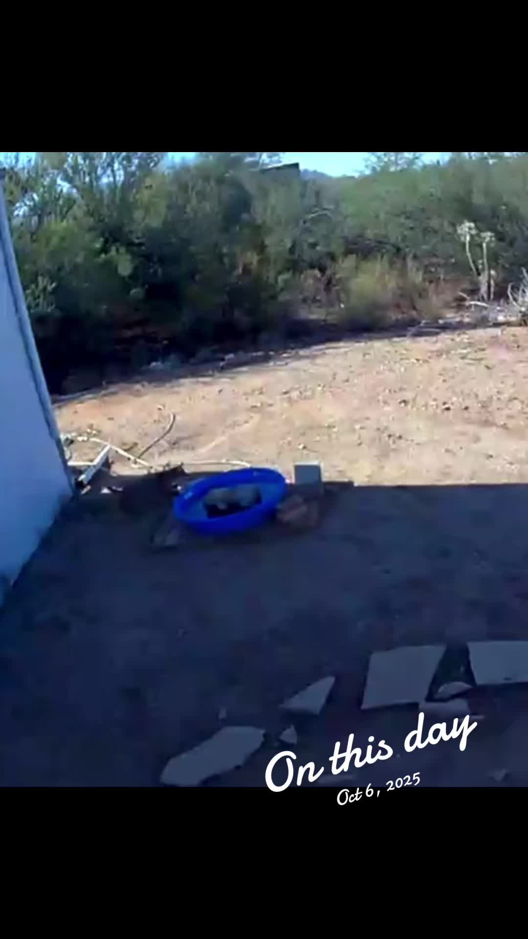 @PrincessNotNowsMom