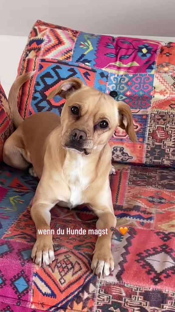 @Mäx