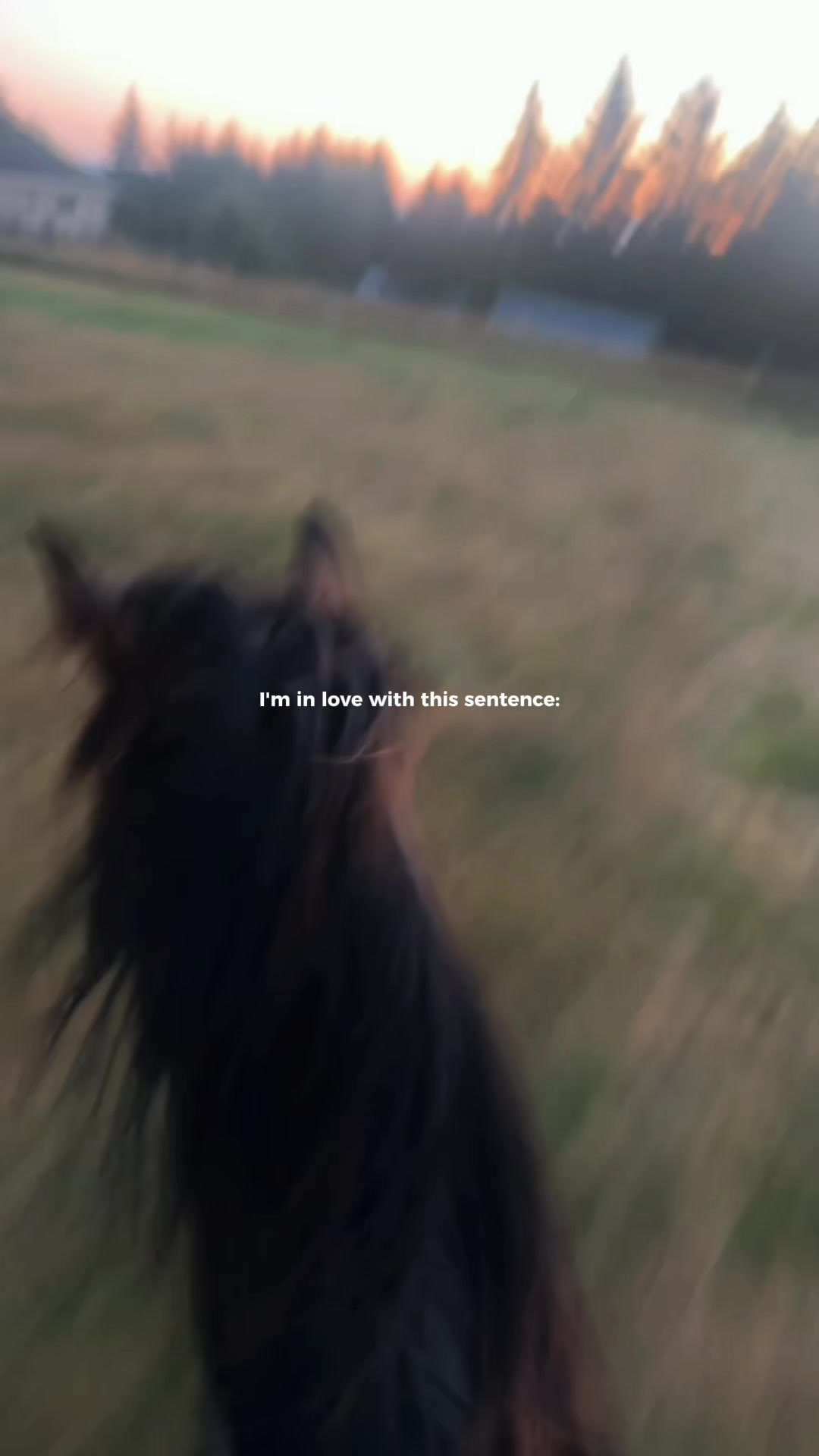 @SAMANTHA | BARREL RACING