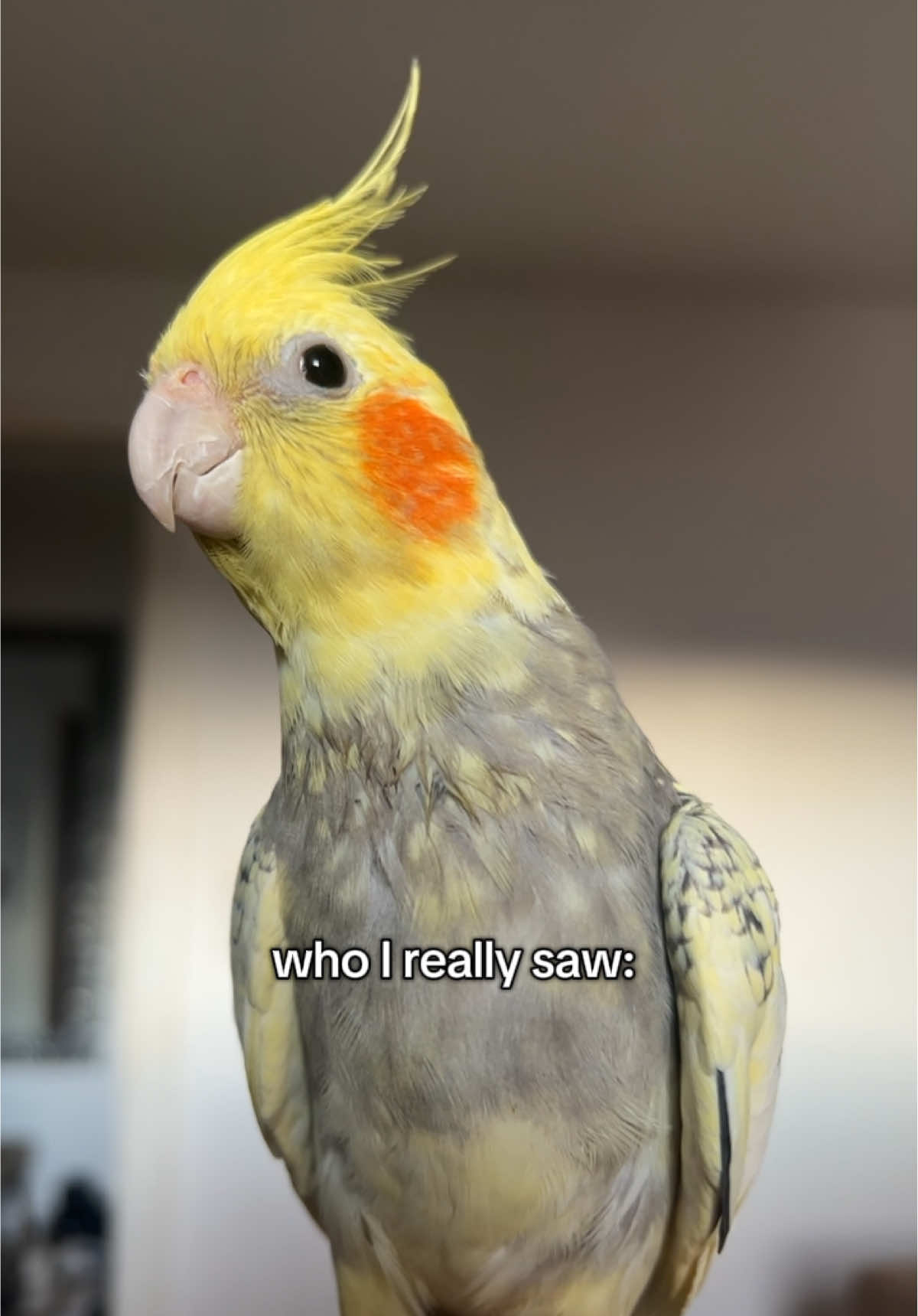 @Nafriate