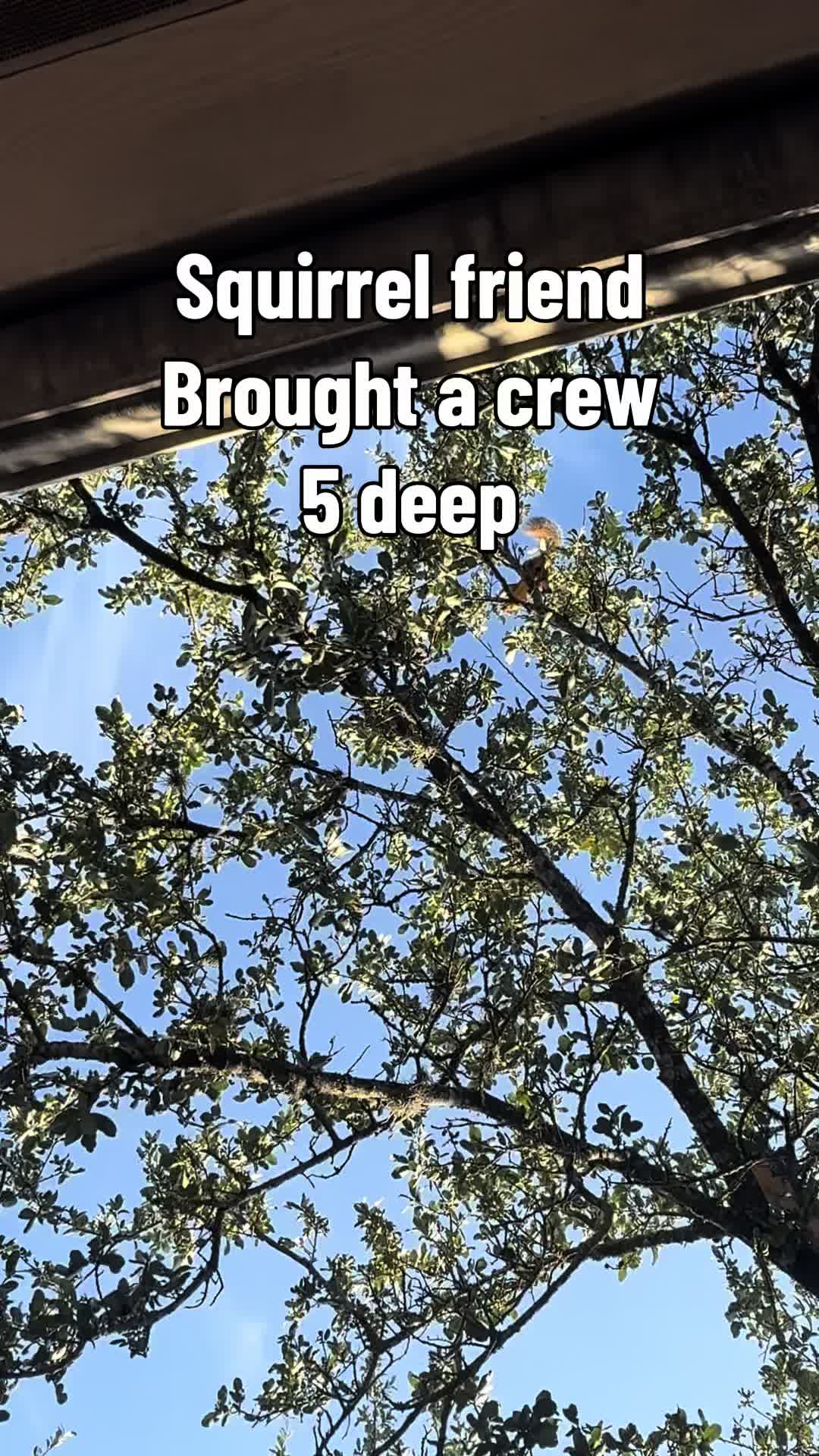 @tamperproof22