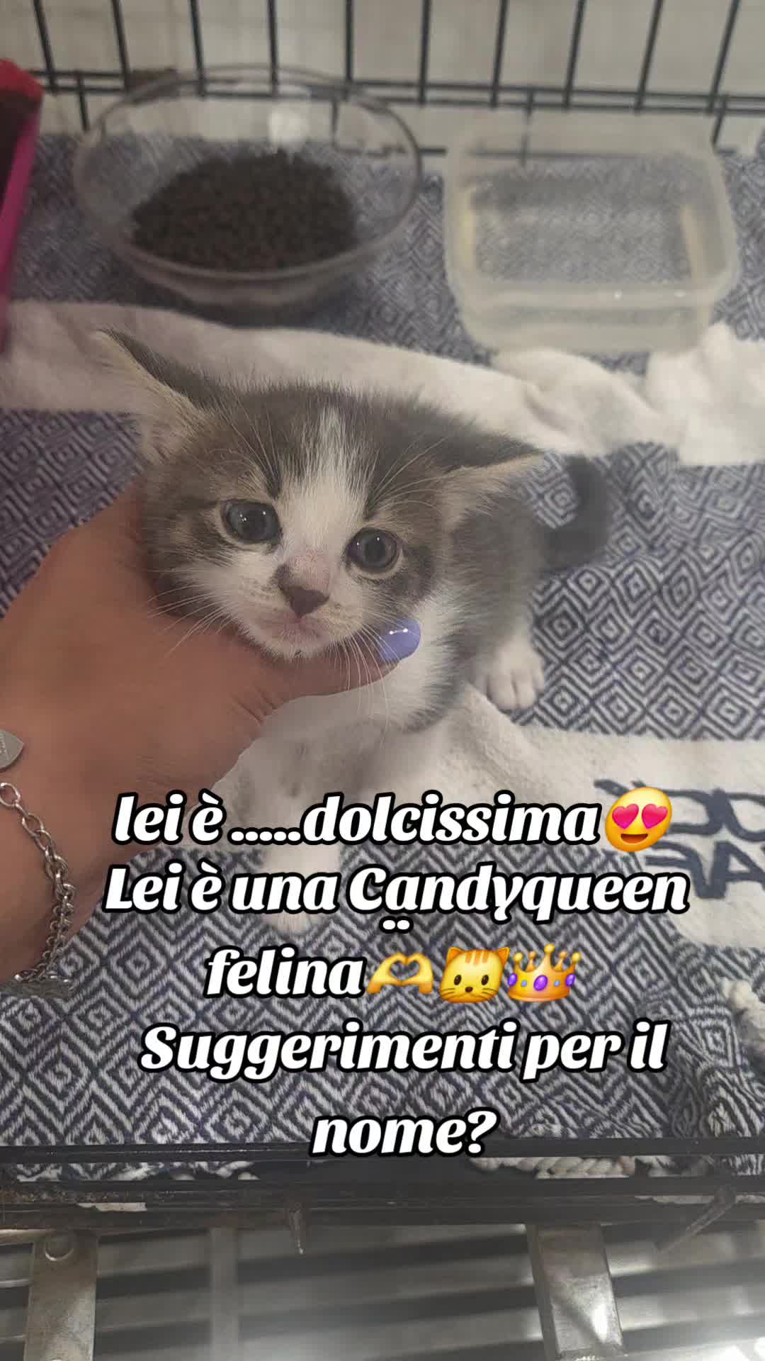@CandyQueen👑🐩