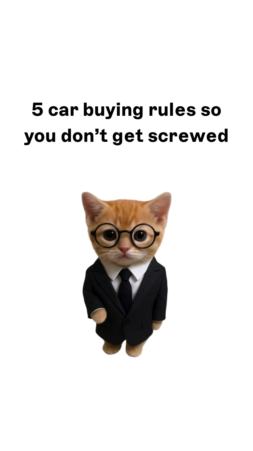 @wallstreetkitty