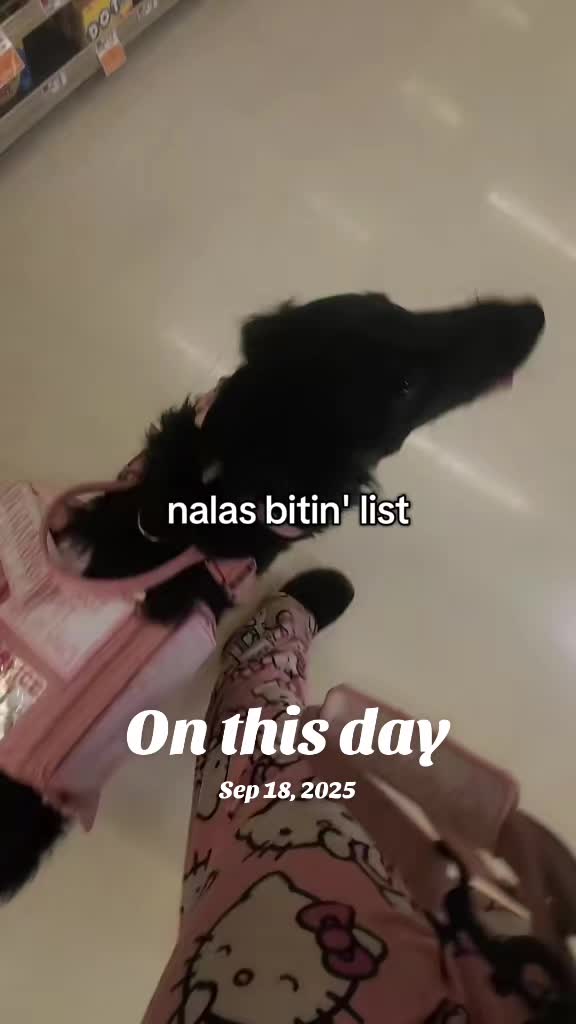 @Nala the Service aussie