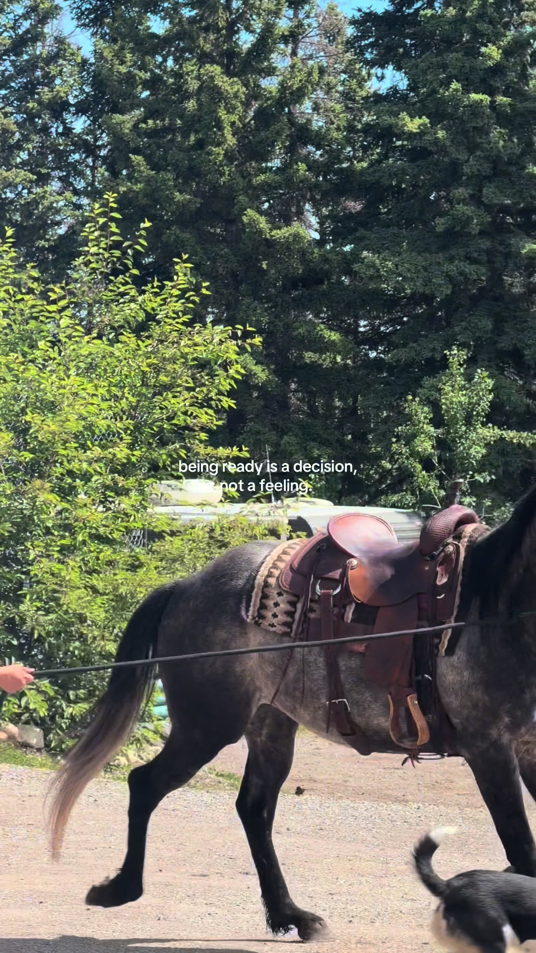 @Ranch Riders