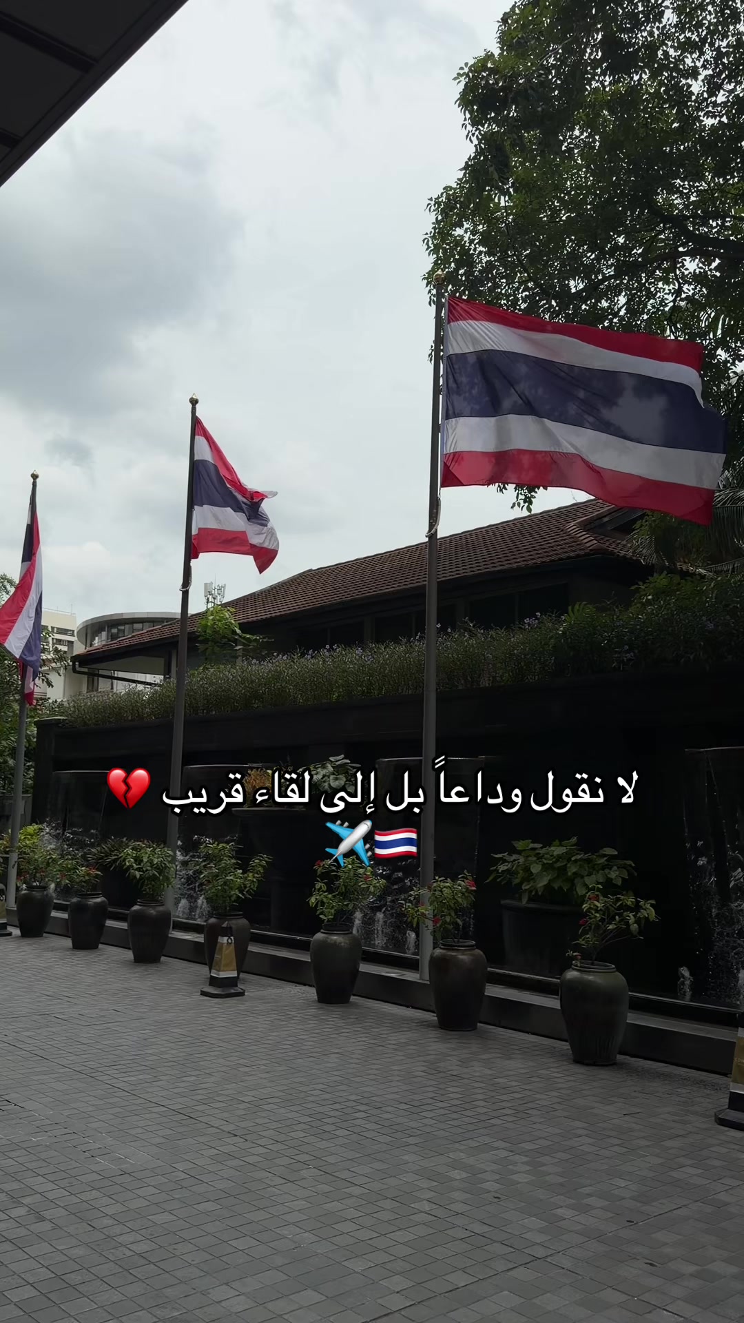 @Aldana🤍🕊️