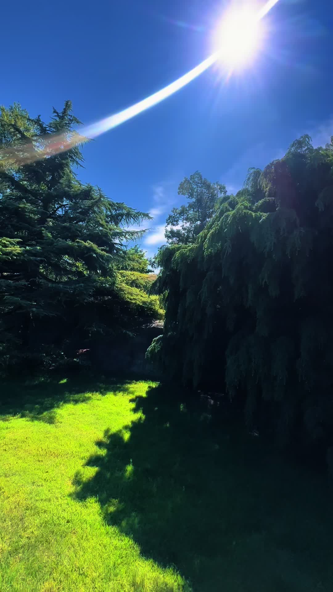 @Raya
