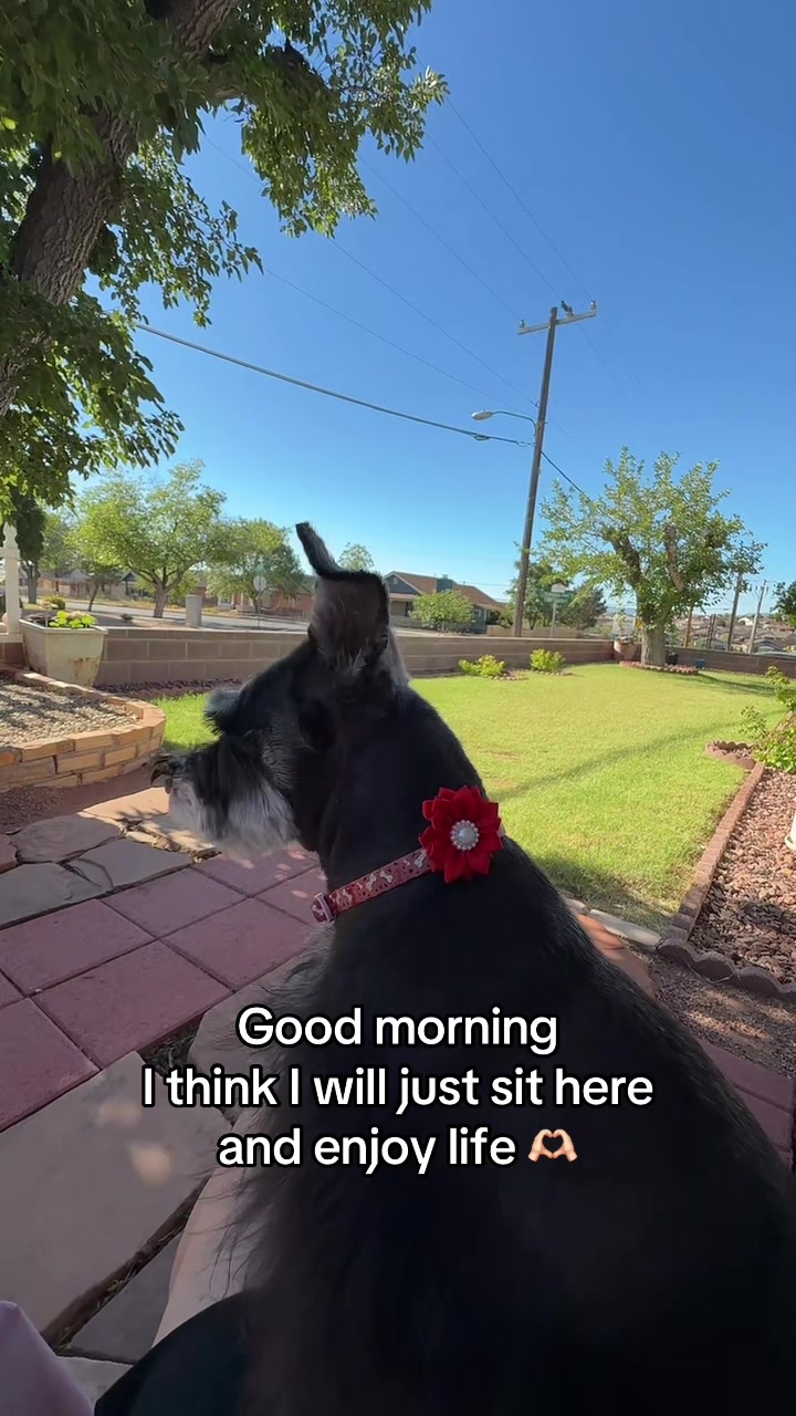 @Princess Pepper