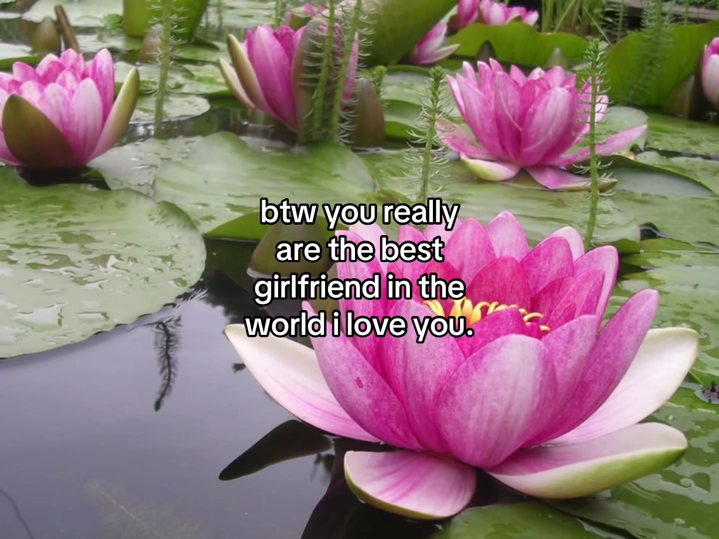 @flowercorrre