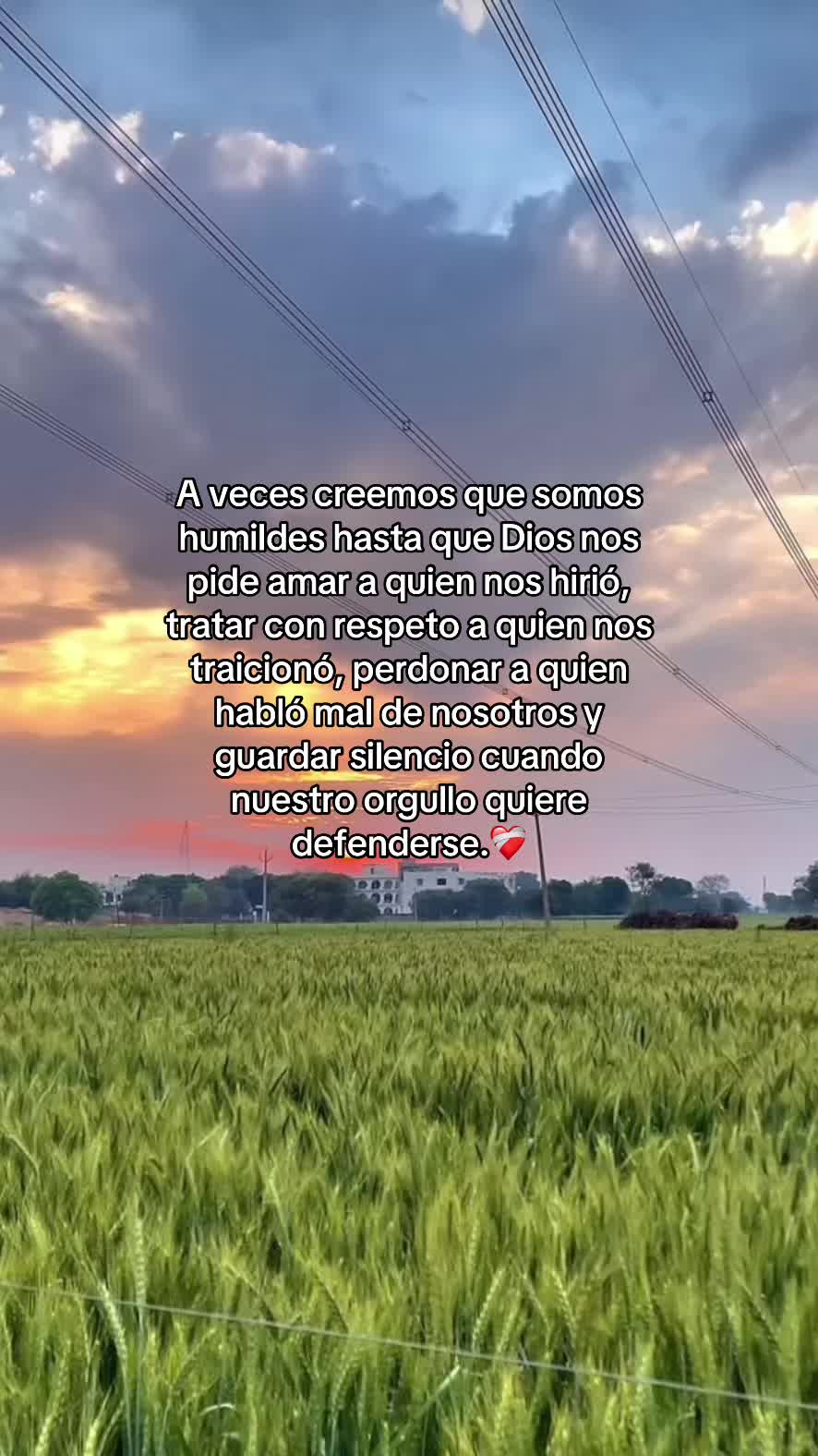 @💗