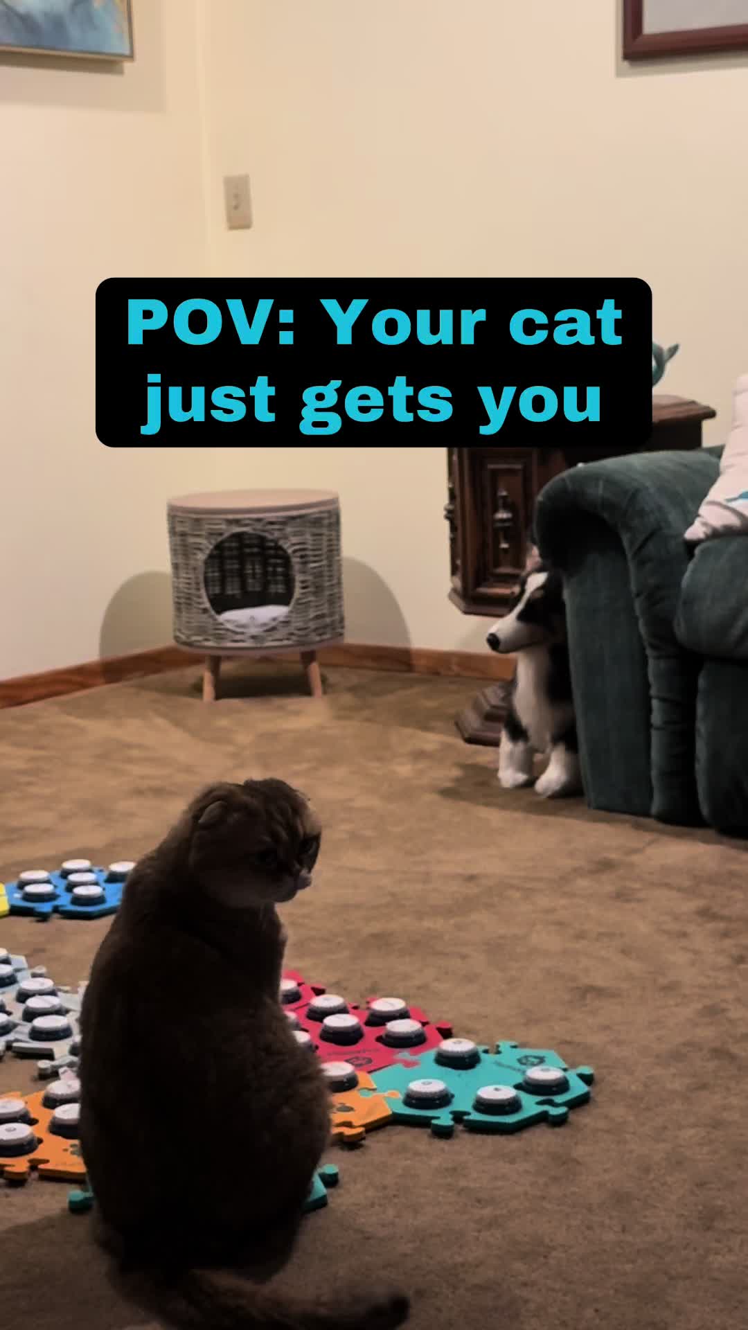 @Puffindoestricks
