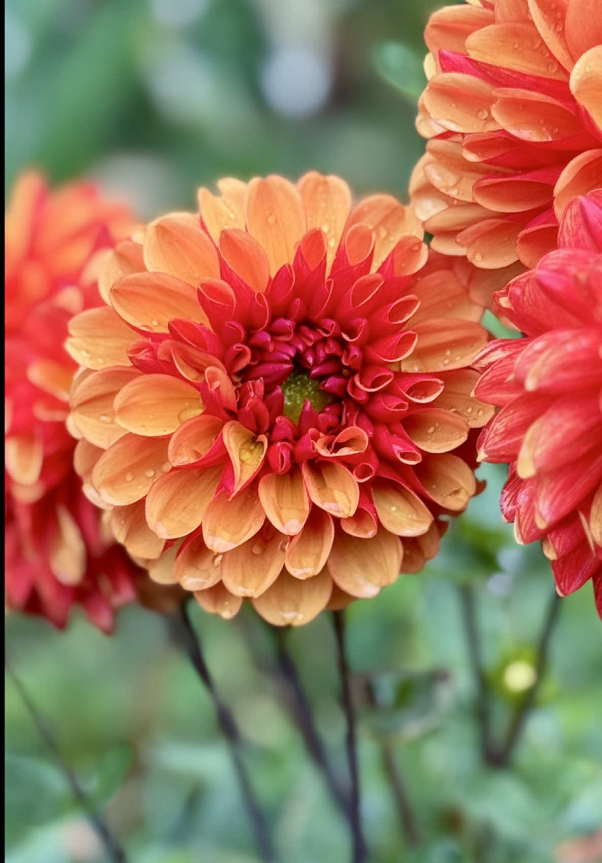 @learntogrow