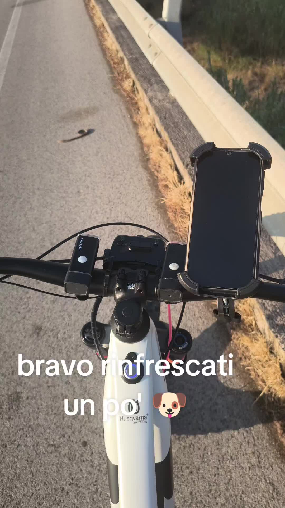 @Davide sgalambro