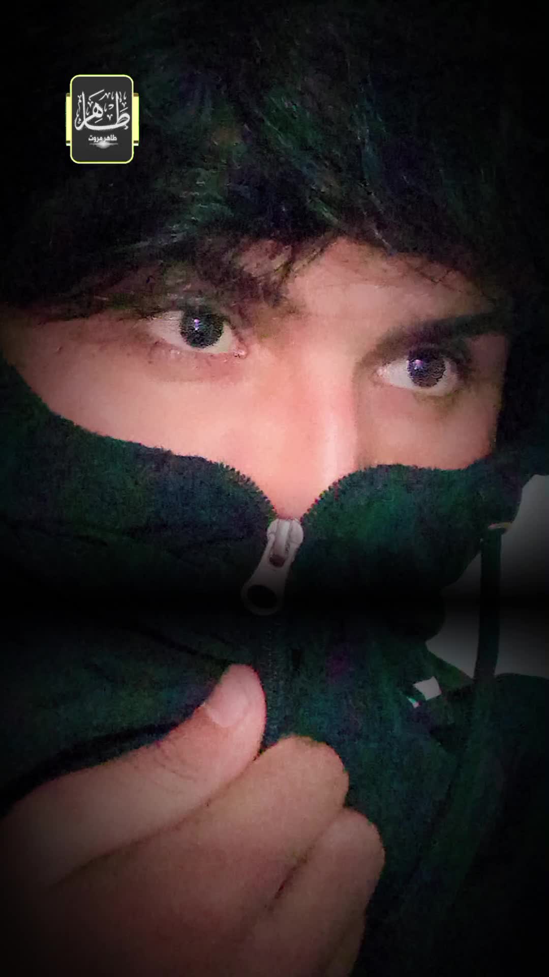 @shahinbaghalani8