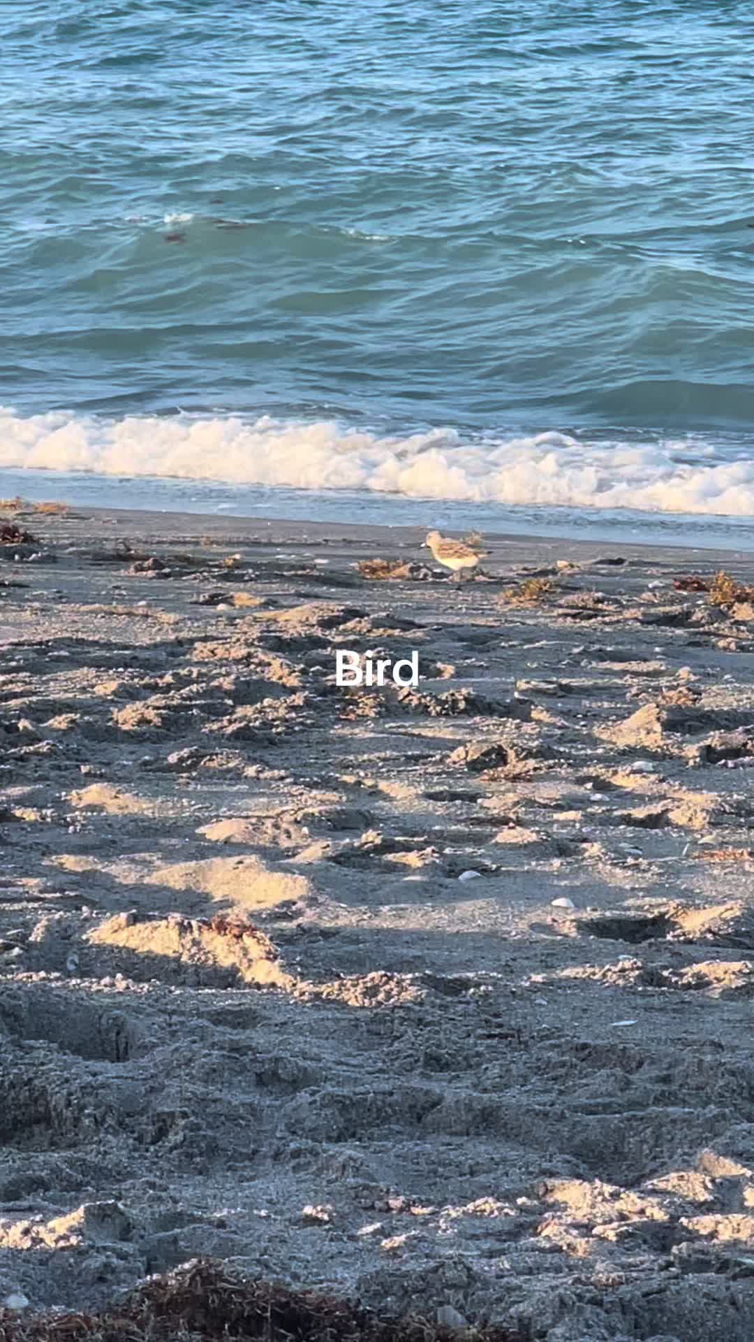 @J_videos10