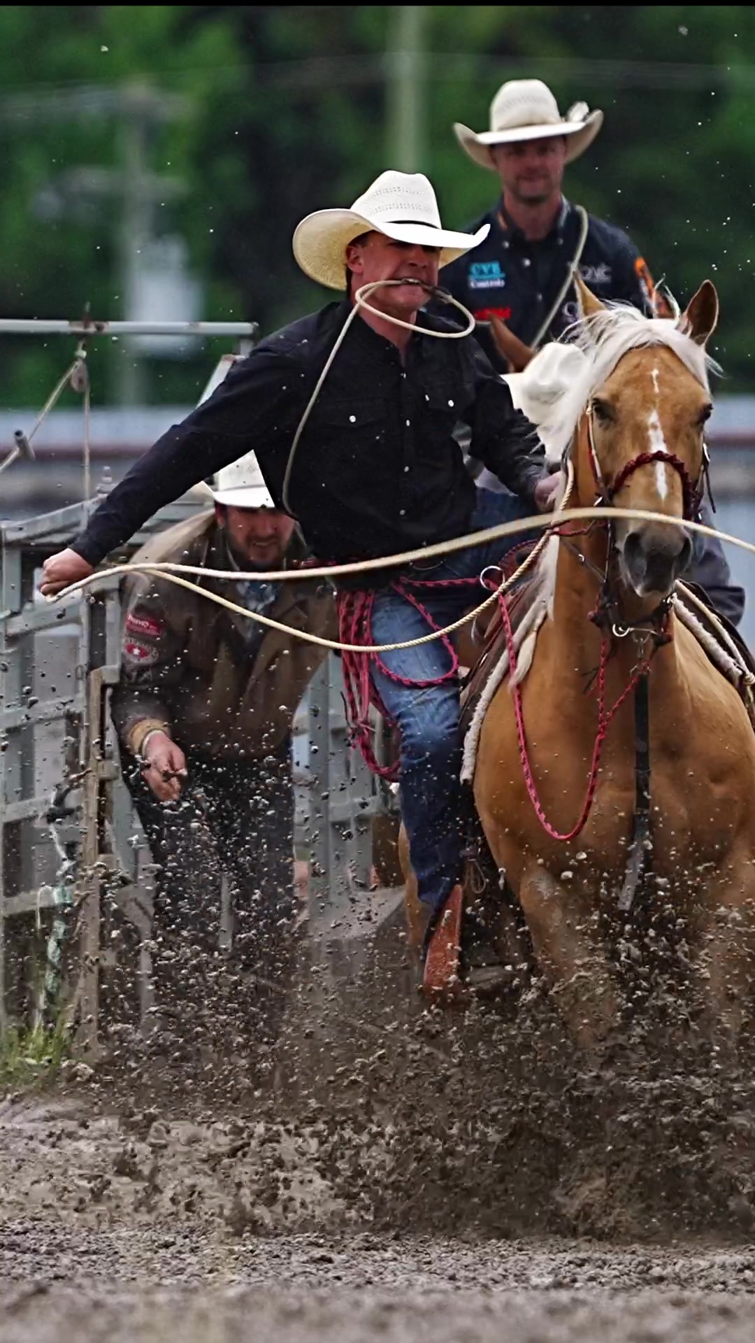 @Hanginghorses