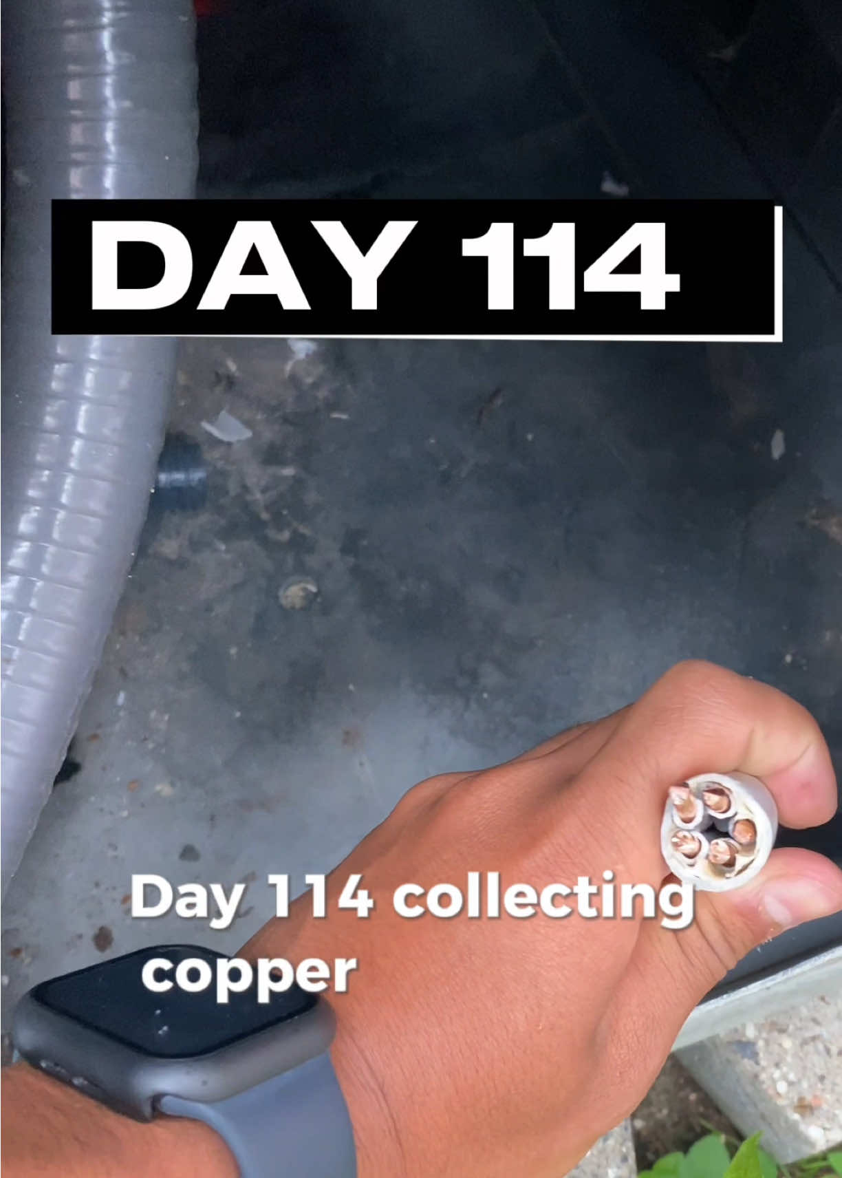 @RealCopper